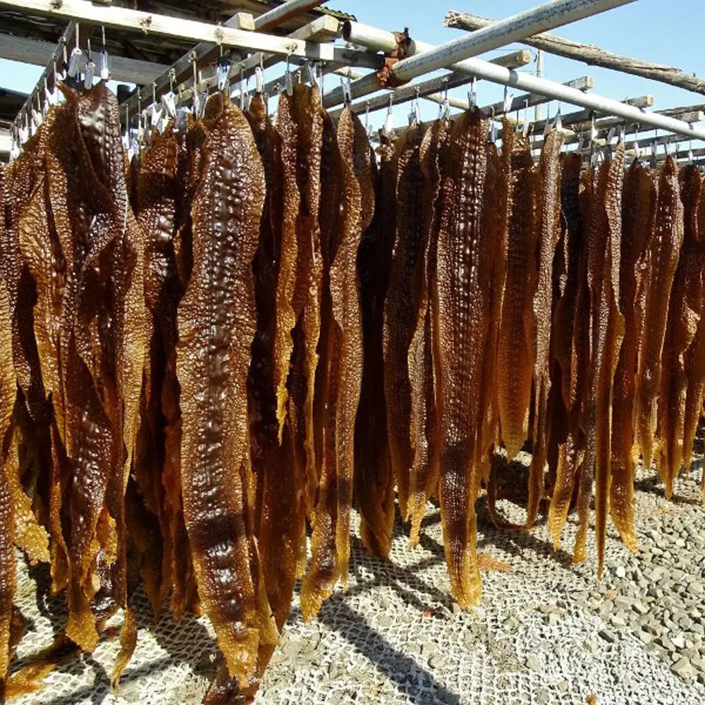 がごめ昆布って？